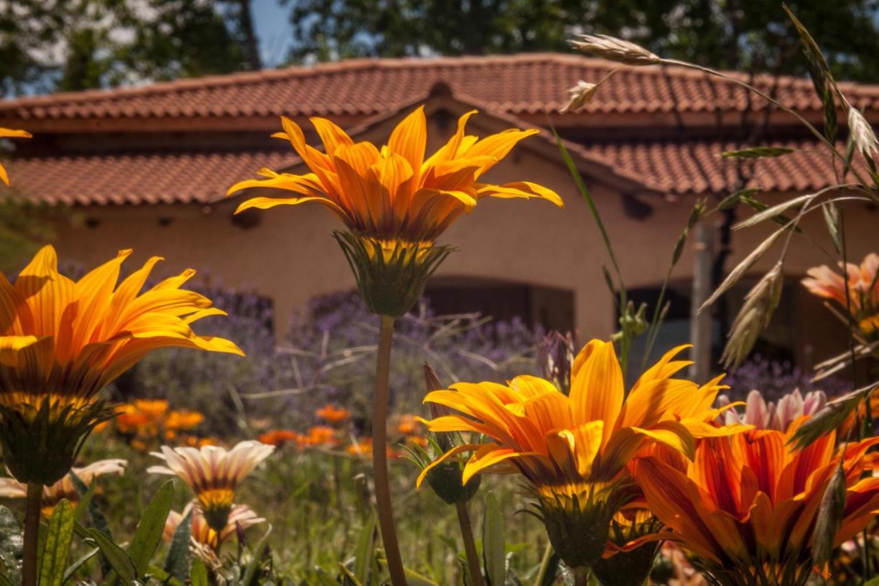 Casona Aventurados Villa Lujan de Cuyo Exterior photo
